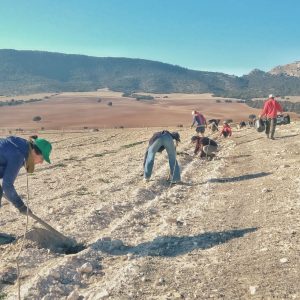 Camp Altiplano - tree planting